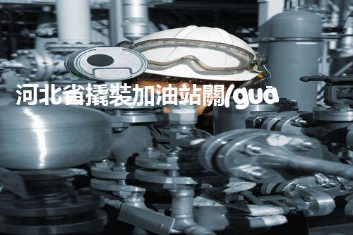 河北省撬裝加油站關(guān)鍵技術(shù)突破！化工廠拆除工程的新方法探索？